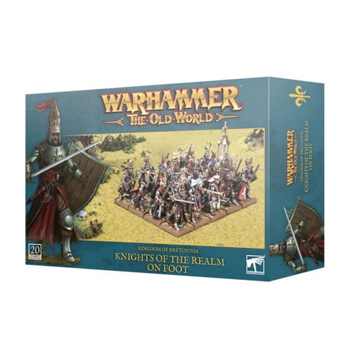 [KOB: KNIGHTS OF THE REALM ON FOOT] CHEVALIERS DU ROYAUME À PIED